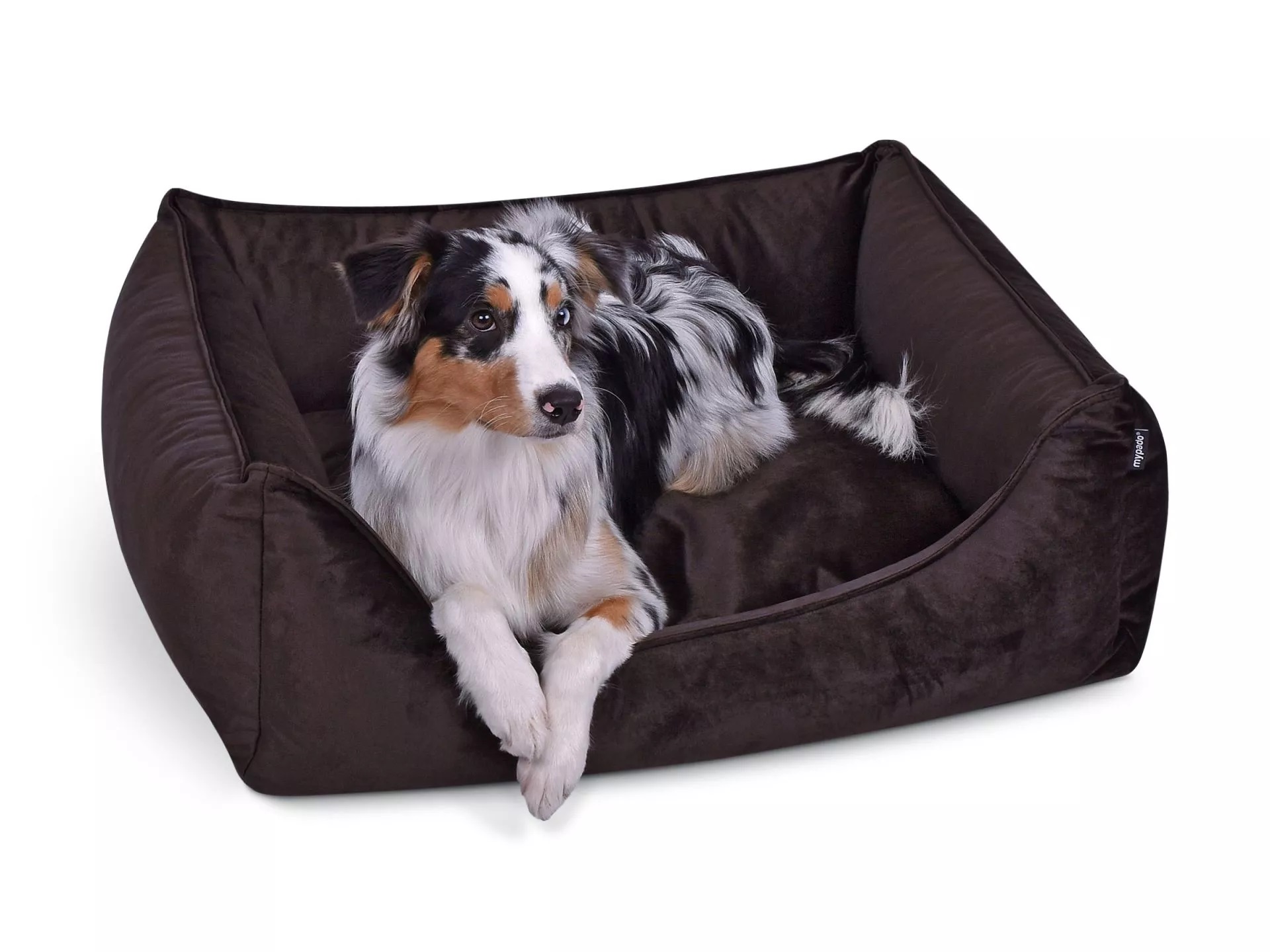 mypado Dreamer Velvet Hundebett